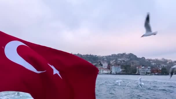 Flaga Turecka Tle Bosforu Trzepotanie Turecką Flagą Tle Bosforu Flaga — Wideo stockowe