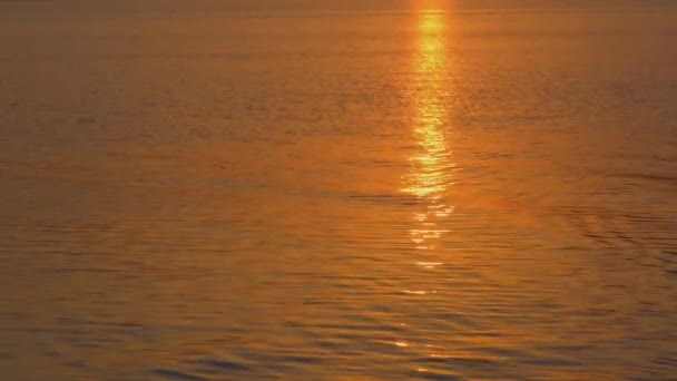 Zon Weerkaatst Het Water Zon Reflectie Het Wateroppervlak Gouden Zon — Stockvideo