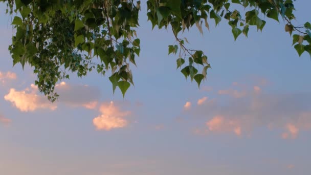 日没のカラフルな雲 鮮やかなカラフルな夕日 美しい夕日 日没の空 — ストック動画