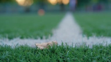 Amatör futbol. Bahçe futbolu Bahçede futbol oynayan adamlar.