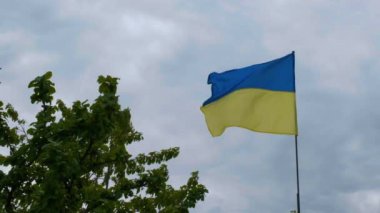 Ukrayna vatandaşı rüzgârda gelişiyor. Ulusal Ukrayna Bayrağı.
