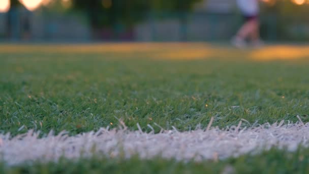Futbol Sahası Yakın Plan Oyuncular Arka Planda Futbol Antrenmanı Fifa — Stok video