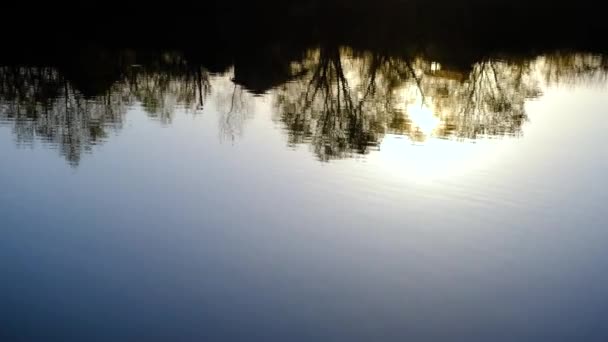 Захід Сонця Відображається Озері Встановлене Сонце Відбивається Поверхні Води Кущі — стокове відео
