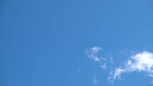 Σύννεφα Στον Ουρανό Φωτεινά Σύννεφα Στον Γαλάζιο Ουρανό Λευκά Σύννεφα — Αρχείο Βίντεο