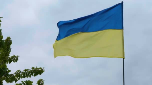Ουκρανική Εθνική Faln Αναπτύσσεται Στον Άνεμο Εθνική Σημαία Της Ουκρανίας — Αρχείο Βίντεο