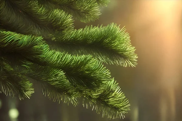 Размытый Фоновый Снимок Сосновой Ветви Видимыми Зелеными Сосновыми Иглами — стоковое фото