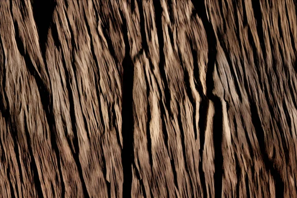 Текстура Коры Дерева Средний Выстрел Дерево Ствол Видны — стоковое фото