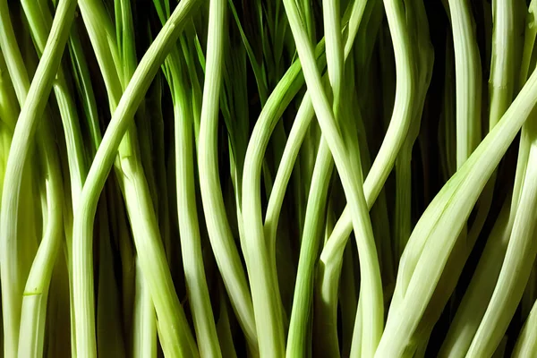 Foto Cebolas Verdes Frescas Produtos Agrícolas Alimentos Saudáveis Mantimentos Verdes — Fotografia de Stock
