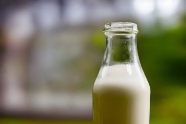 Bir şişe süt, doğal ve sağlıklı içecek, iyi beslenme, kalsiyum kaynağı.