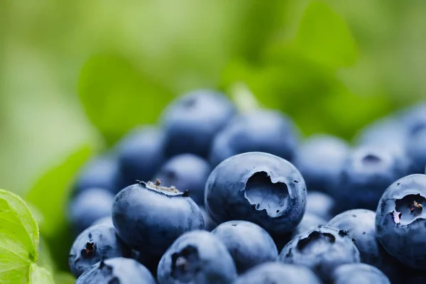 美味蓝莓图片 健康的水果小吃 食物配料 — 图库照片