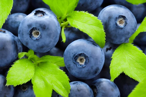 美味蓝莓图片 健康的水果小吃 食物配料 — 图库照片