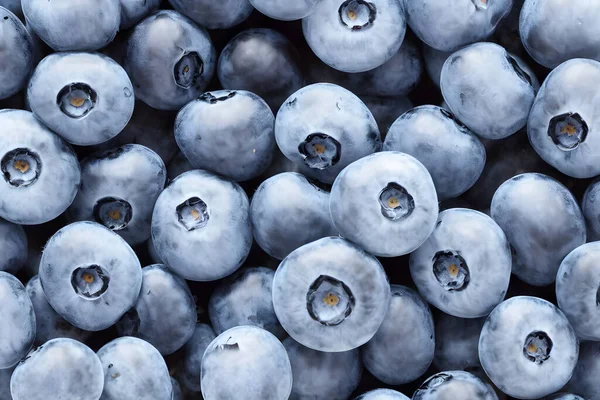 Photo Bleuets Savoureux Collation Fruits Sains Ingrédient Alimentaire — Photo