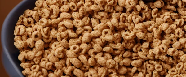 Cereales Leche Alimentos Saludables Para Desayuno Alimentos Básicos Buena Nutrición — Foto de Stock