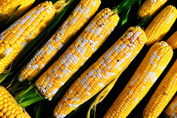 corn on the cob, natural food ingredient, fresh farm harvest