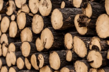 Yakacak odun, istiflenmiş ve ateşe hazır, kış için yakıt.