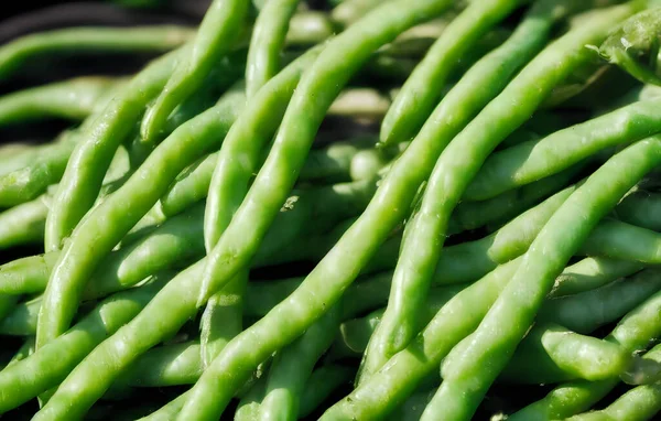 Judías Verdes Alimentos Vegetales Saludables Recién Cosechados Productos Agrícolas — Foto de Stock