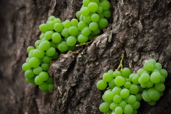 Uvas Verdes Fruta Fresca Saudável Delicioso Suculento Lanche — Fotografia de Stock