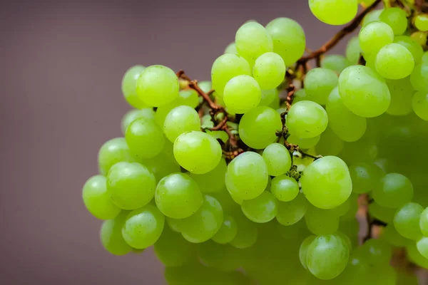 Uvas Verdes Fruta Fresca Saudável Delicioso Suculento Lanche — Fotografia de Stock