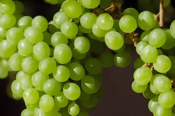 Uvas Verdes Fruta Fresca Saudável Delicioso Suculento Lanche — Fotografia de Stock