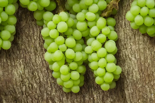 Uvas Verdes Fruta Fresca Saludable Delicioso Jugoso Snack — Foto de Stock