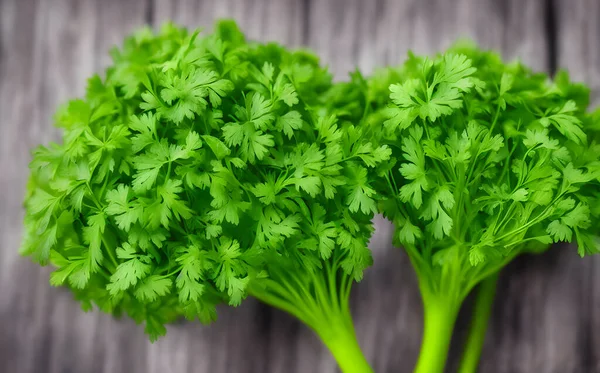 view of green parsley, common healthy vegetable, salad ingredient