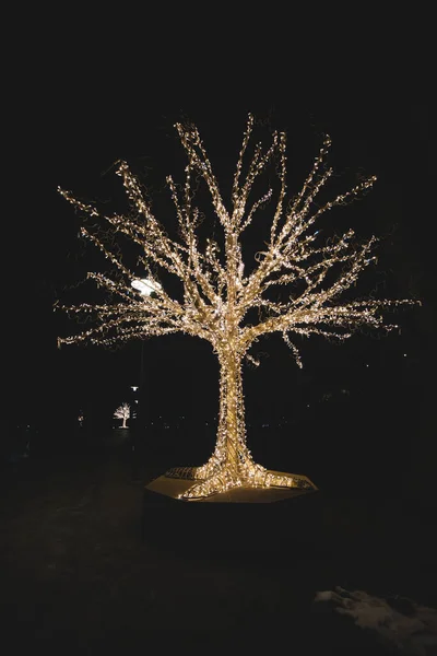 2021年12月17日 爱沙尼亚首都爱沙尼亚首都公园的一部分灯火通明的一种用金黄色灯泡做成的人造树 — 图库照片