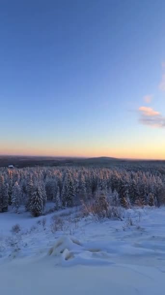 Rovaniemi Çevresindeki Kış Günbatımında Sıfırın Altında Sıcaklıklar Finlandiya Nın Vahşi — Stok video