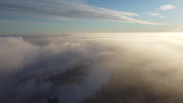 フィンランドのカイヌー州ブカティインバラの丘の上の飛行のドローン映像 日の出に濃霧の中に隠れて 上から雪に覆われたフィンランドの風景の眺め 4Kビデオ — ストック動画