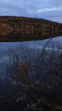Güzel bir sonbahar ormanı manzarası, Finlandiya 'nın kuzeyinde sakin bir göl yüzeyini yansıtır. İskandinav sonbaharı. Güzel bir renk elbisesi içinde vahşi doğa..