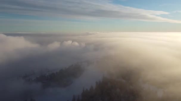 Imagens Drones Voo Sobre Colina Vuokatinvaara Kainuu Finlândia Escondido Denso — Vídeo de Stock