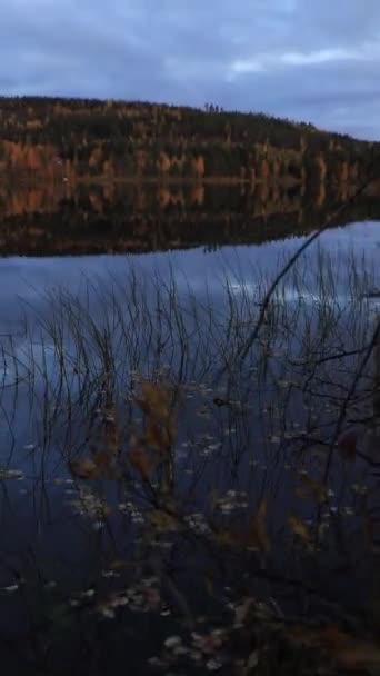 フィンランド北部の湖の穏やかな澄んだ水面に映る美しい秋の森の景色 北欧の秋 色の美しいローブの野生の自然 — ストック動画