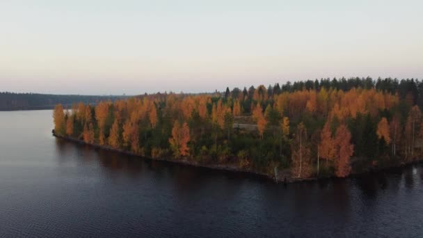 フィンランド中央部のカジャニ湖と秋の森のドローン撮影 オレンジ色の落葉樹林の周りのドローン映像 4Kビデオ — ストック動画
