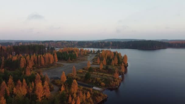 フィンランド中央部のカジャニ湖と秋の森のドローン撮影 オレンジ色の落葉樹林の周りのドローン映像 4Kビデオ — ストック動画
