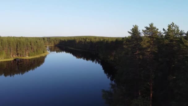 Drone Del Tramonto Una Foresta Conifere Del Lago Oulujarvi Nella — Video Stock