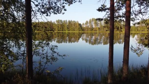 フィンランド中央部のカイヌー地方の針葉樹林と湖Oulujarvi上の日没のドローンショット 秋のフィンランドの自然 空域を探索する 4Kビデオ — ストック動画