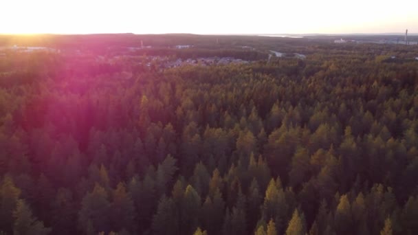 フィンランド中央部のカイヌー地方の針葉樹林とカジャニの町の上に夕日のドローンショット 秋のフィンランドの自然 空域を探索する — ストック動画