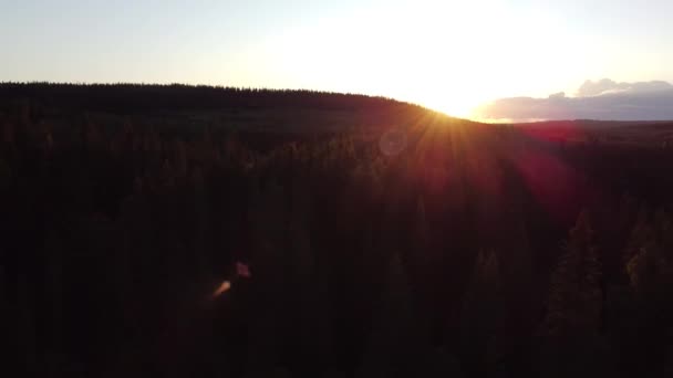 Drone Video Picturesque Finnish Forested Landscape Sun Forming Star Sunset — Stockvideo