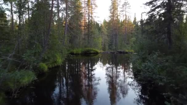 フィンランドのカイヌー地方のヘポコンガス滝の日没時に フィンランドの自然と野生のドローン映像 巨大な滝に怠惰な川を蛇行 スオミの性質を発見 4Kビデオ — ストック動画