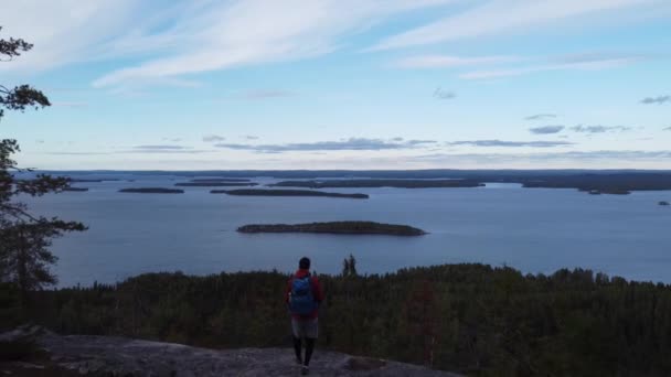 フィンランド東部のコリ国立公園とピエリネン湖の海岸でのドローンビデオ 素晴らしい野生動物や健康的な森林や新鮮な空気の生産のデモンストレーション 上から4Kビデオ — ストック動画