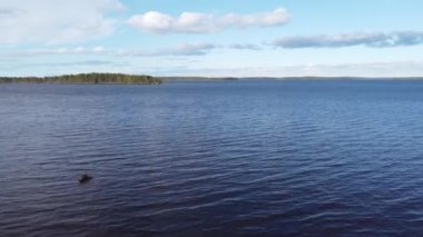 Finlandiya 'nın doğusundaki Koli Ulusal Parkı ve Pielinen Gölü kıyılarında insansız hava aracı videosu. İnanılmaz vahşi yaşam ve sağlıklı ormanların ve temiz hava üretiminin gösterimi. Yukarıdan 4k video
