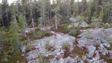 Kâşif, Fin doğasının zirvelerine yaptığı yolculuğun son zirvesine kadar yürür. Pielinen Gölü 'ndeki Koli Ulusal Parkı. 4k drone görüntüsü. Güzel vahşi suomi doğası.