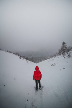 Kırmızı ceketli bir kadın Lapland, Finlandiya 'daki Kslompolo kasabasında bir gölde ve etrafındaki karlı dağlarda ahşap salıncaktan hoşlanıyor. Alışılmadık bir aktivitenin keyfi