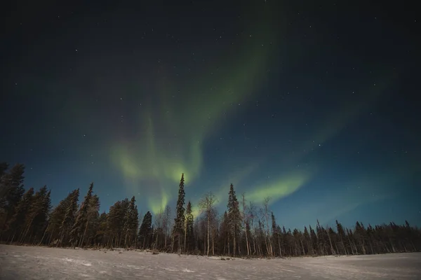 Tirar Fôlego Aurora Boreal Dança Verde Céu Escuro Levi Lapônia — Fotografia de Stock