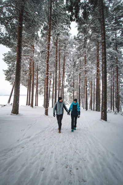 Взимку Соткамо Фінляндія Двоє Закоханих Гуляють Ялинському Лісі Чоловік Дивиться — стокове фото