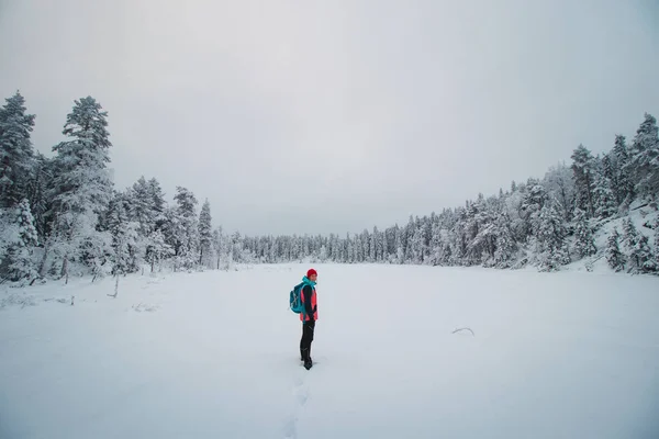 Jovem Explorador Uma Jaqueta Colorida Fica Ambiente Branco Gelado Sotkamo — Fotografia de Stock