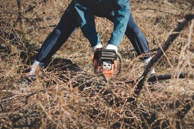 17 yaşındaki genç, iş kıyafetleri içinde geçici işçi elektrikli testere ve kuru karaçam ağacıyla güreşiyor. Vahşi doğada ahşap işleme. Devrilmiş bir ağacı parçalara ayırmak. Yeni bir işgücü öğreniliyor. 