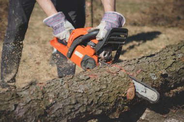 Ustabaşı iş kıyafetleri içinde kuru bir ağacı elektrikli testereyle kesiyor. Ormanda ağaç kesimi. İş yerinde elektrikli testerenin yakın çekimi. Zincirden talaş uçuyor..