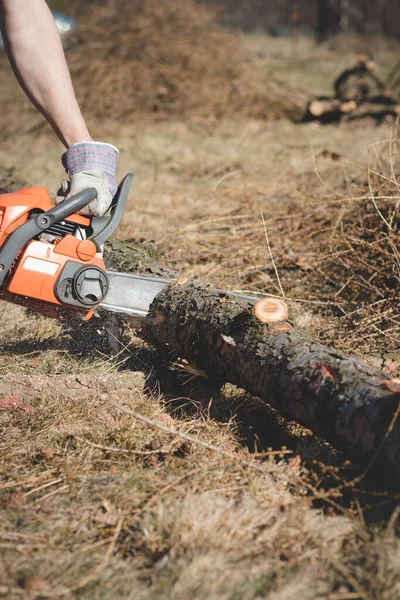 Caposquadra Vestiti Lavoro Taglia Albero Secco Con Una Motosega Elaborazione — Foto Stock