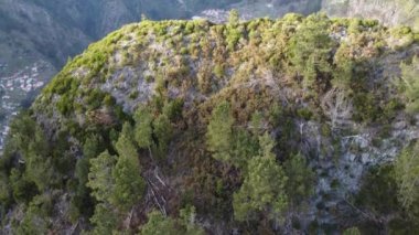 Portekiz 'e ait Madeira adasındaki Curral das Freiras köyünün hava manzarası. Rahibelerin kalemi sisin içinde gizlenmiş devasa dağlarla çevrili. 4k video