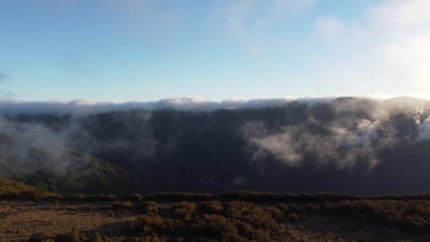 霧の空中ビューはゆっくりとカメラの前を流れるマデイラ島 ポルトガルの島の夕日で雄大な山々を見下ろす 山の峰の上に立ち上がる霧 — ストック動画